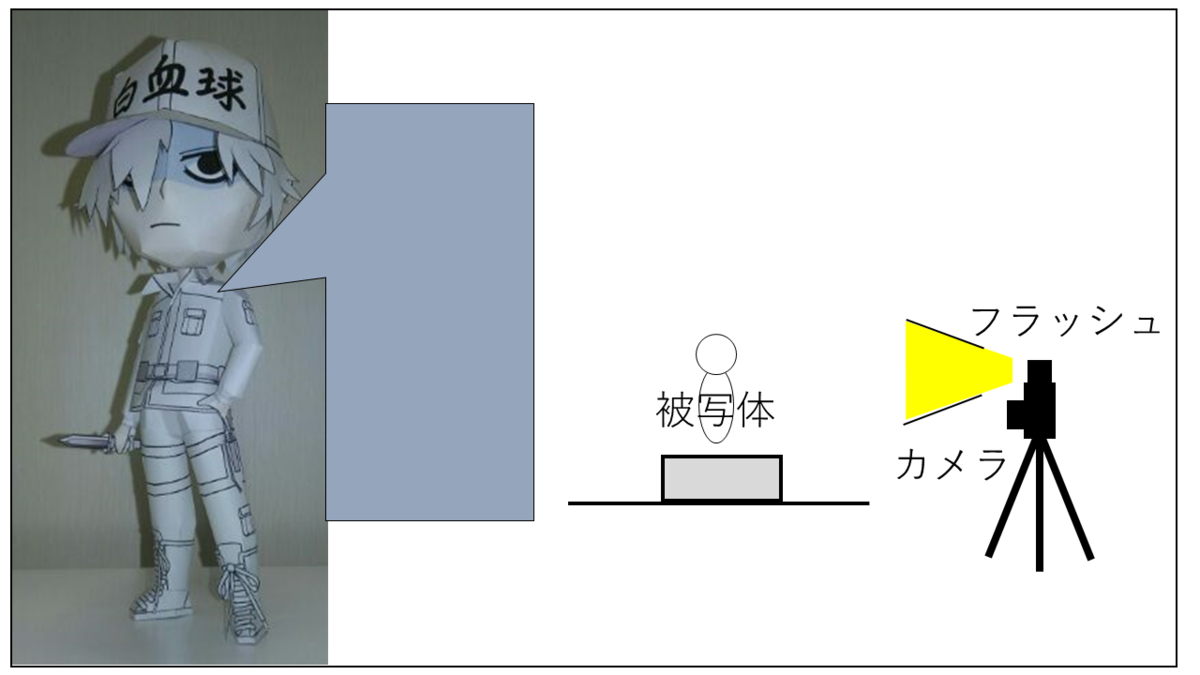 撮影条件 室内照明+スマホフラッシュ