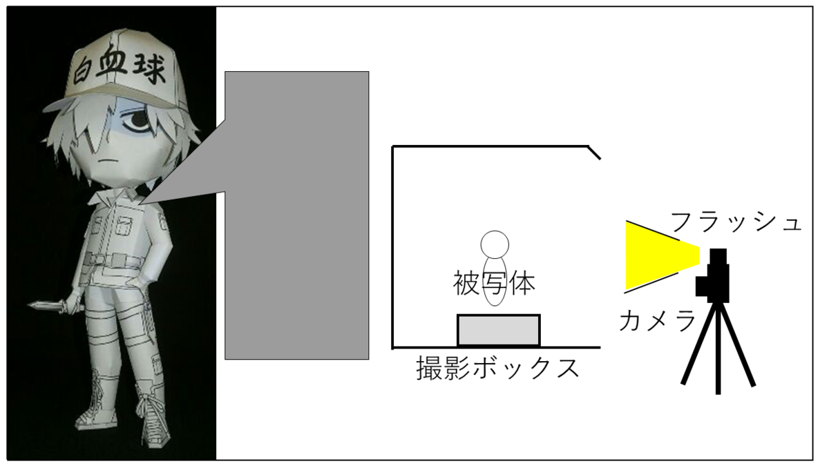 撮影条件 固定照明なし+スマホフラッシュ