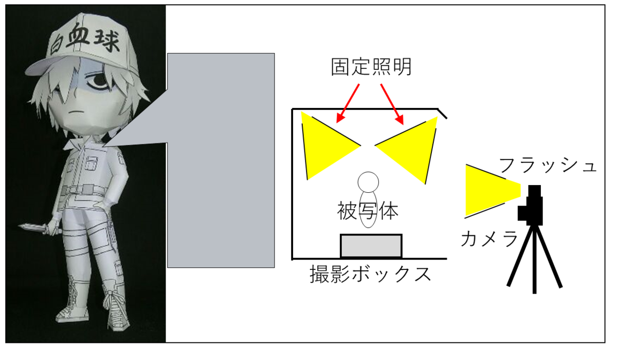 撮影条件 固定照明あり+スマホフラッシュ
