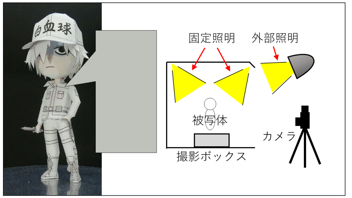 撮影条件 固定照明あり+外部照明