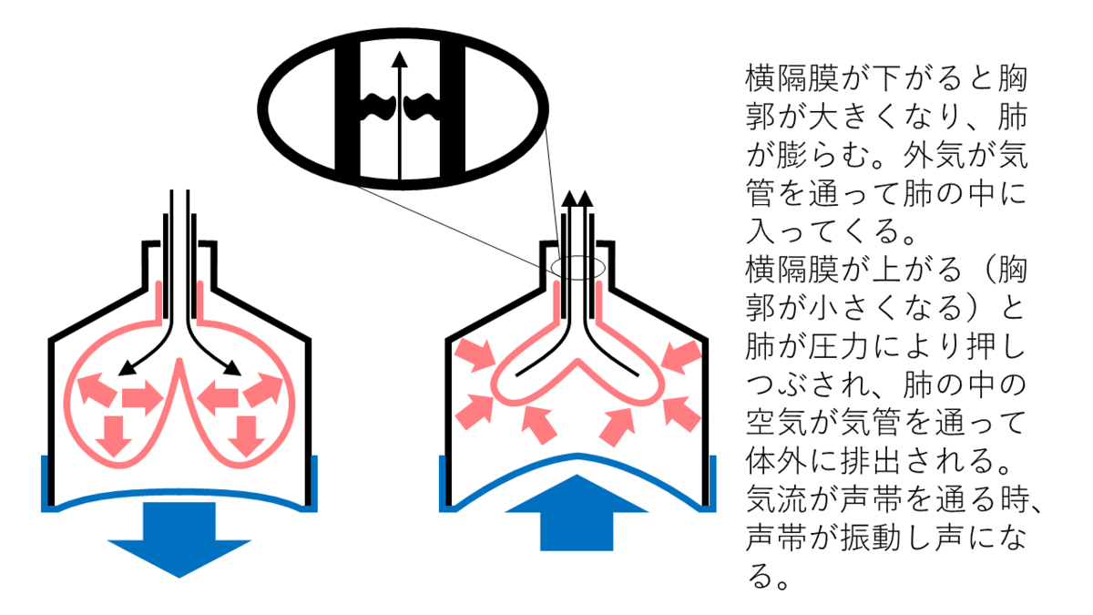 f:id:wakajibi2:20190815171228p:plain f:id:wakajibi2:20190815171228p:plain