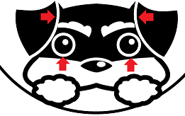 f:id:wakajibi2:20200214193040p:plain f:id:wakajibi2:20200214193040p:plain