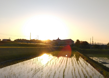 f:id:wakajibi2:20210607111107p:plain