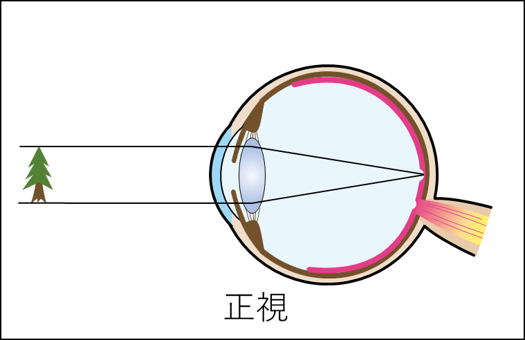 f:id:wakajibi2:20220322091701p:plain