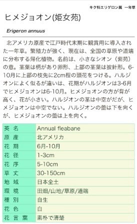 見回すと・・ - シーママのブログ