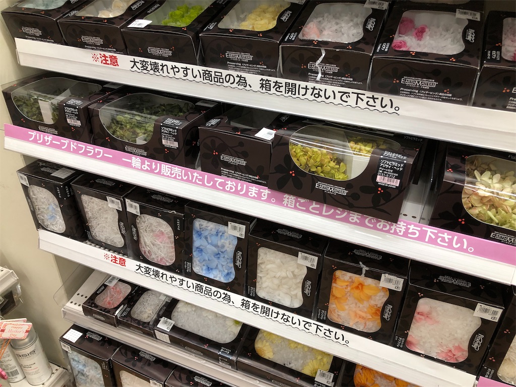 f:id:wakameno:20190125210601j:image