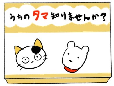 f:id:wakameobasan:20191203184715j:plain