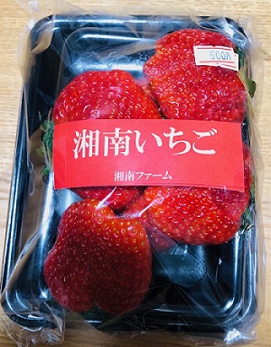 f:id:wakameobasan:20201220140750j:plain