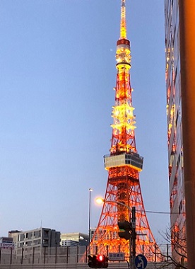 f:id:wakameobasan:20210214001816j:plain