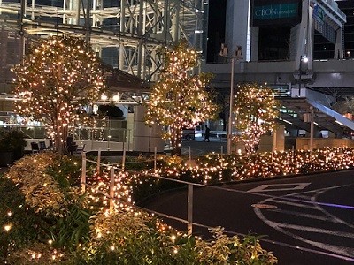 f:id:wakameobasan:20210214014724j:plain