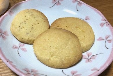 f:id:wakameobasan:20210222001923j:plain