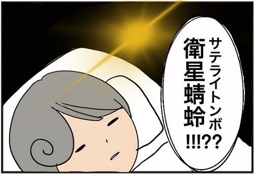 f:id:wakameobasan:20210907152646j:plain