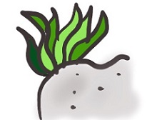 f:id:wakameobasan:20211021164410j:plain