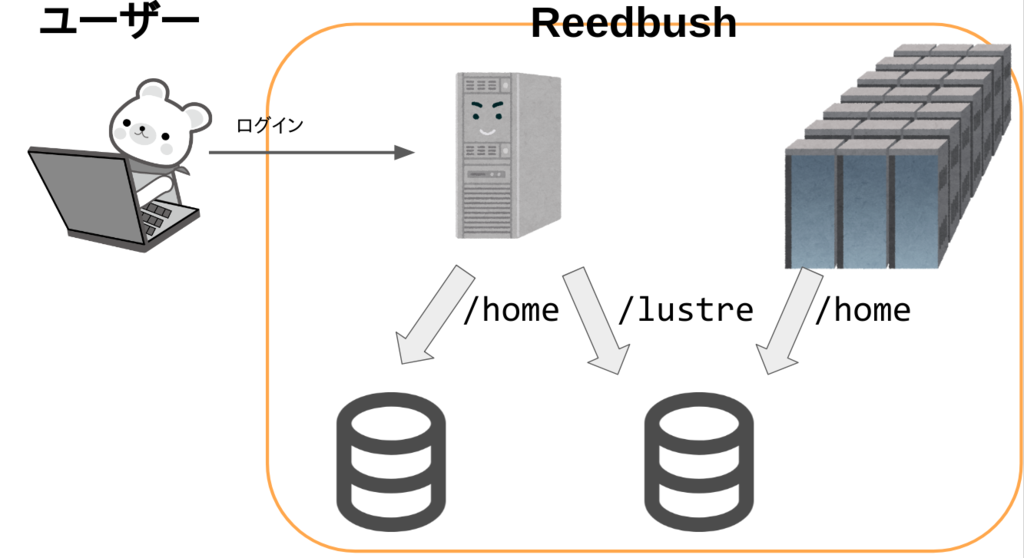 f:id:wakanapo:20190209191833p:plain