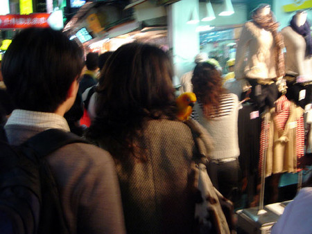 f:id:wakaram:20070119231348j:image f:id:wakaram:20070119231348j:image