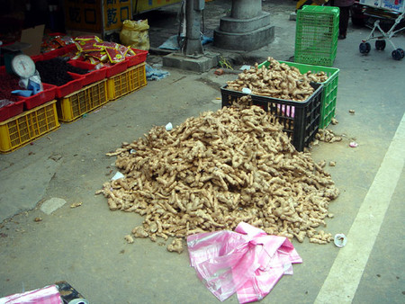 f:id:wakaram:20070119232308j:image f:id:wakaram:20070119232308j:image