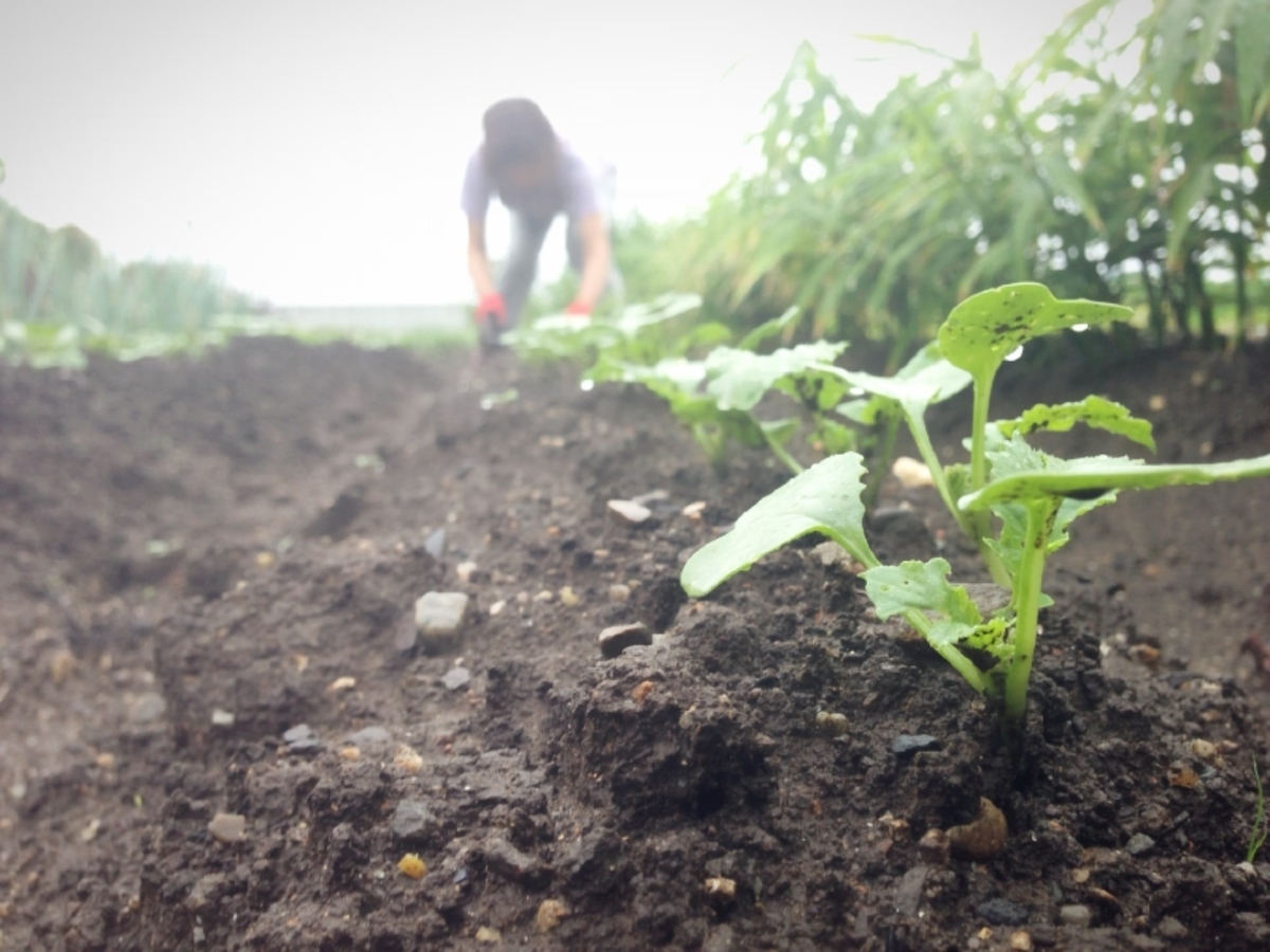 f:id:wakaru-web:20190820200600j:plain