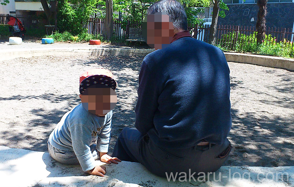 f:id:wakaru-web:20190906080417j:plain