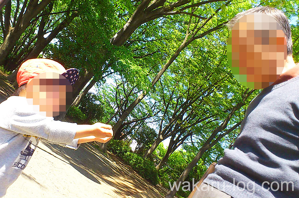 f:id:wakaru-web:20190906080505j:plain