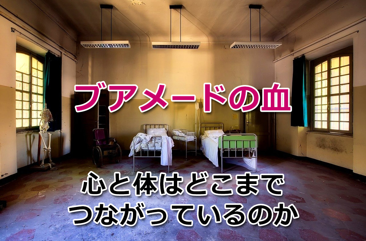 f:id:wakaru-web:20200206172021j:plain