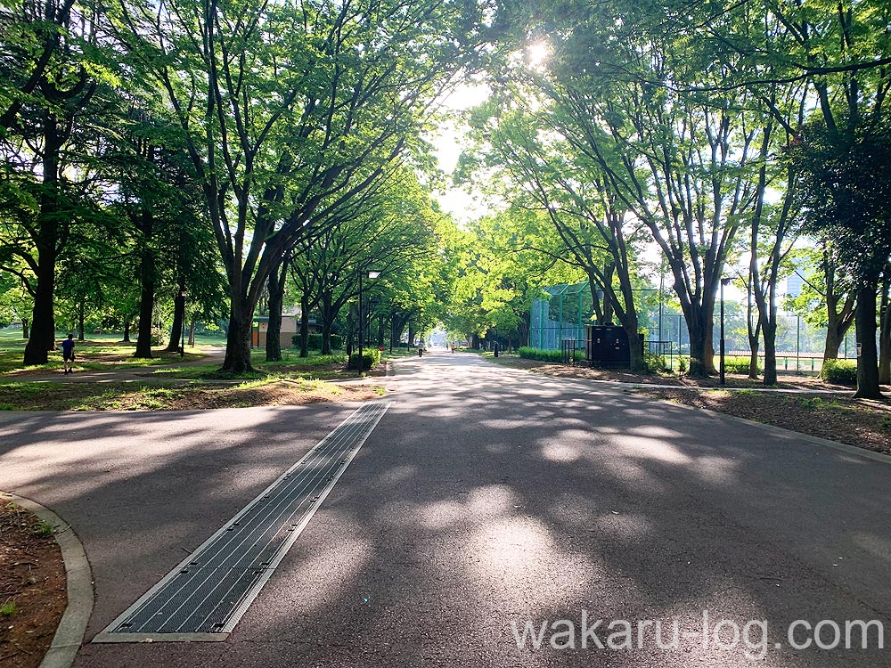 f:id:wakaru-web:20200608084735j:plain f:id:wakaru-web:20200608084735j:plain