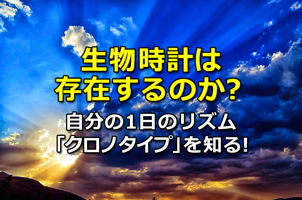 f:id:wakaru-web:20200804184937j:plain f:id:wakaru-web:20200804184937j:plain