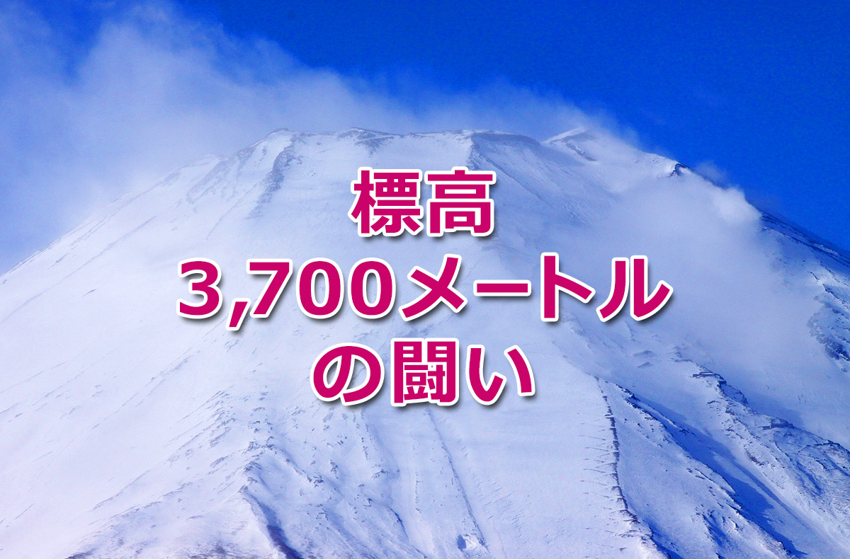 f:id:wakaru-web:20201109093637j:plain f:id:wakaru-web:20201109093637j:plain