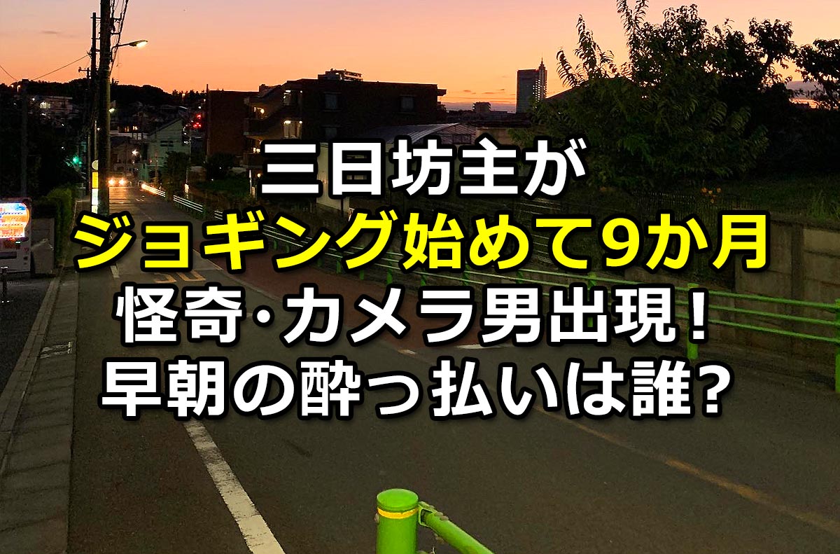 f:id:wakaru-web:20201220211527j:plain