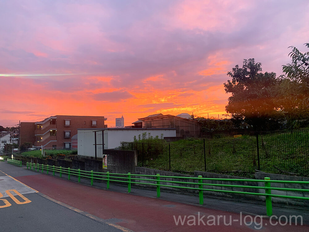 f:id:wakaru-web:20201221184437j:plain