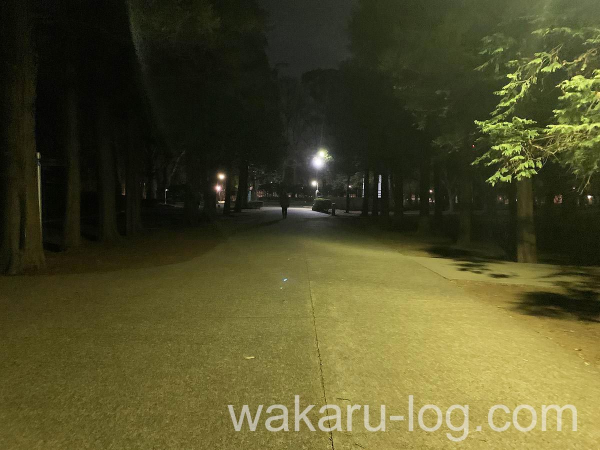 f:id:wakaru-web:20210307144949j:plain