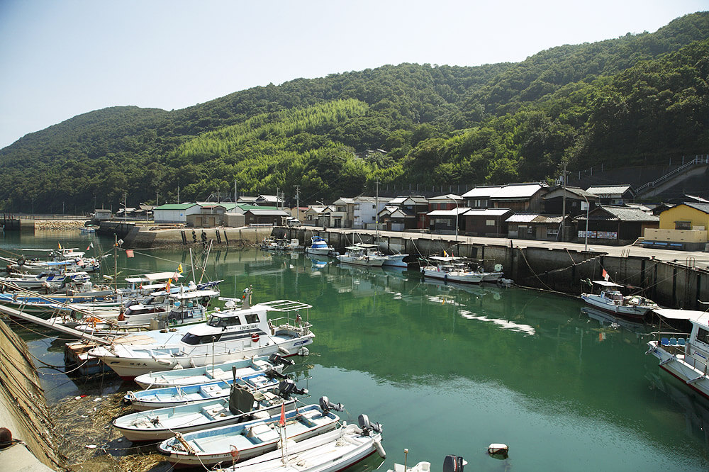 f:id:wakaru-web:20220131102114j:plain