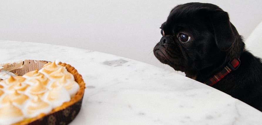 f:id:wakarublog:20211021104912j:plain