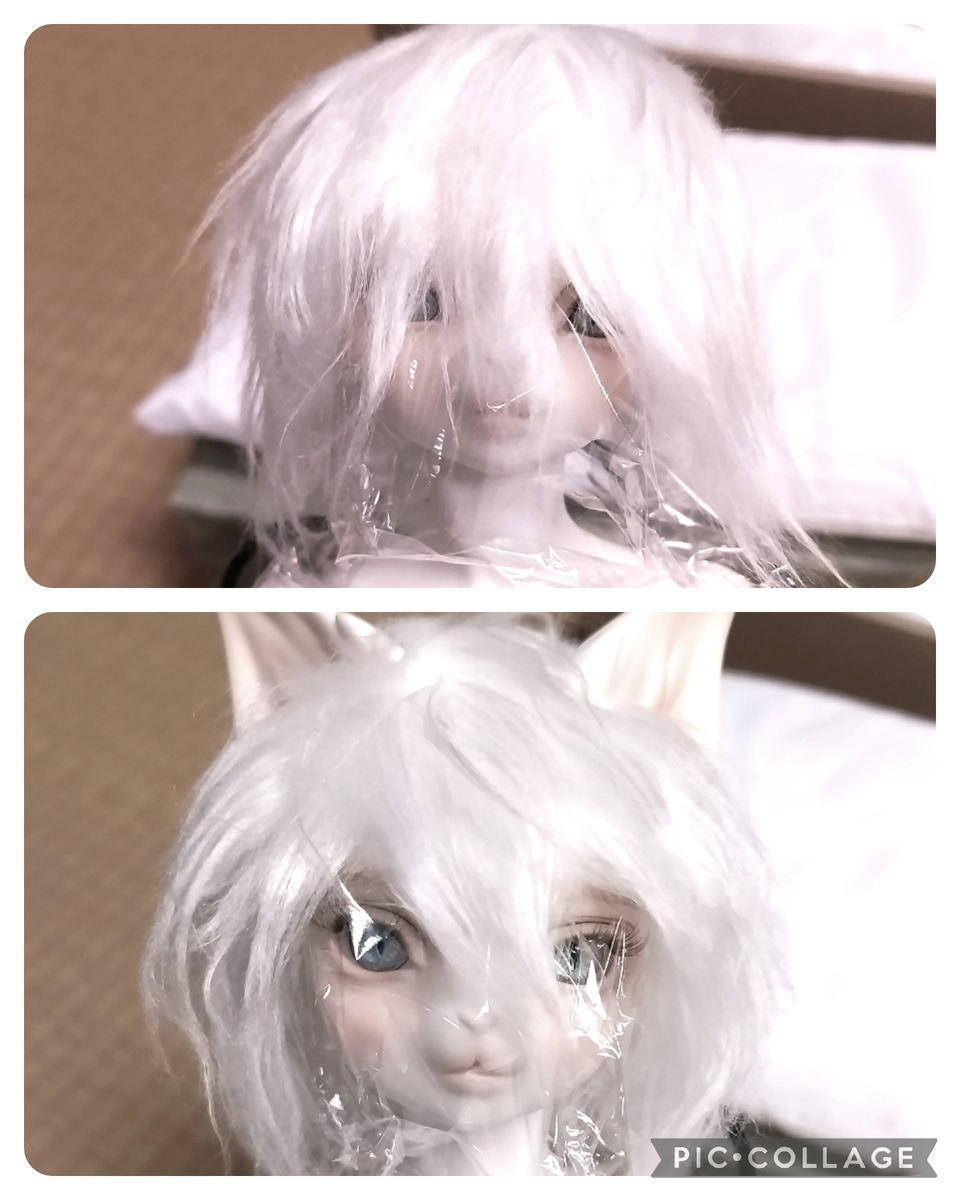 DOLK × DEAR MINE ARTHUR L. 文豪 Limited お迎えレポ - わかさたなと