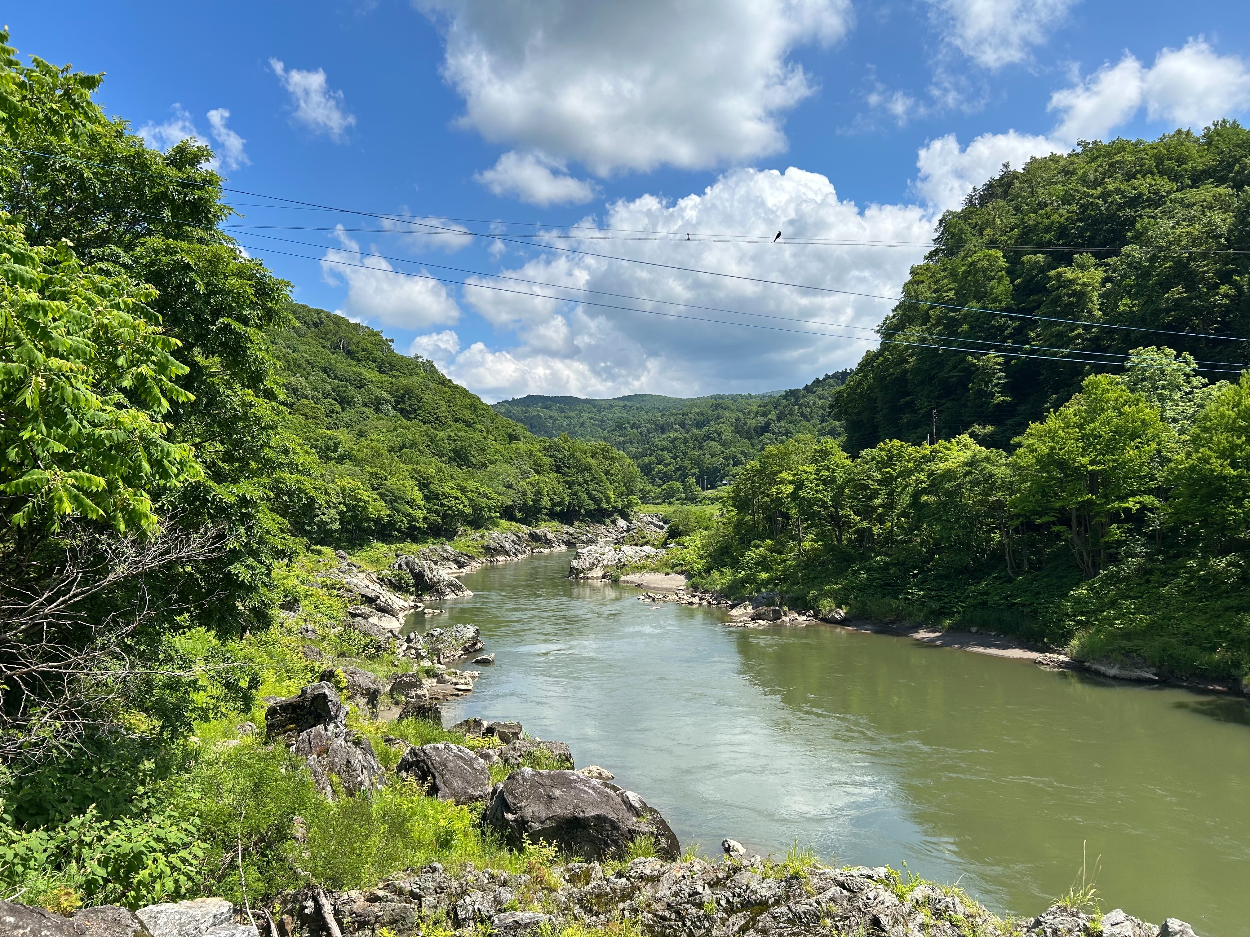 f:id:wakayokai:20260708173550j:image f:id:wakayokai:20260708173550j:image