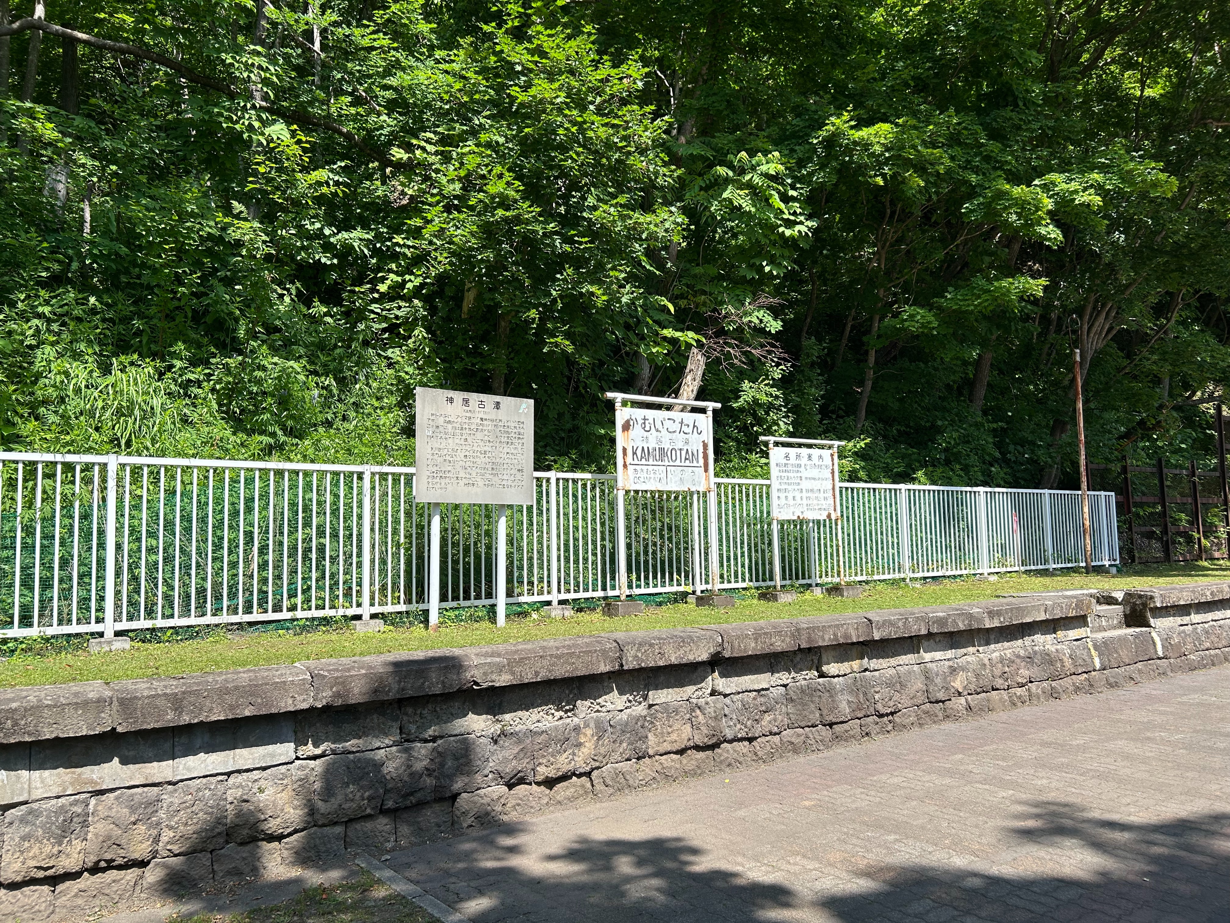 f:id:wakayokai:20260708174324j:image f:id:wakayokai:20260708174324j:image