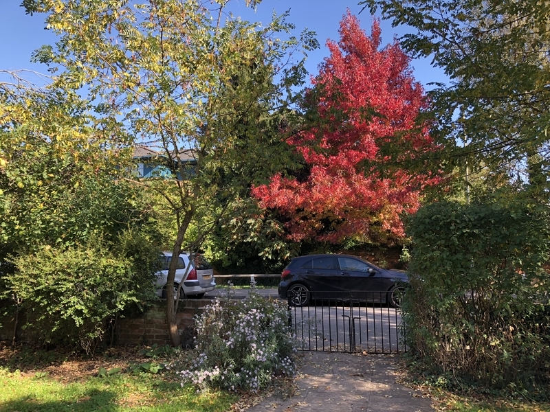 f:id:wakazemi:20181010123642j:image f:id:wakazemi:20181010123642j:image