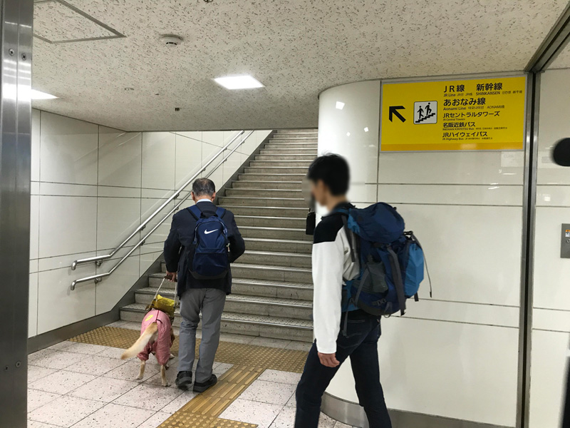 f:id:wakegisky:20191028012300j:plain