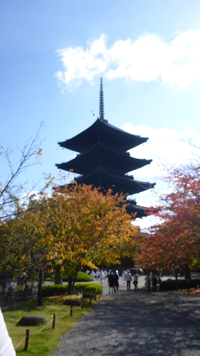 f:id:wakeupandpresent:20200602100928j:plain