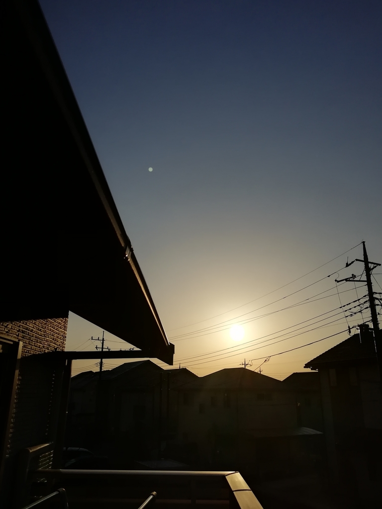 f:id:wakimo02:20190312065051j:plain f:id:wakimo02:20190312065051j:plain