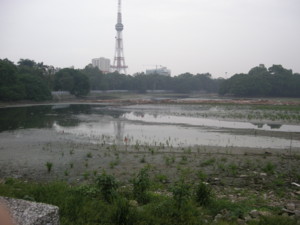 f:id:wakita-A:20090929183246j:image f:id:wakita-A:20090929183246j:image