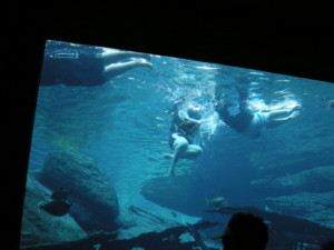 f:id:wakita-A:20100621210901j:image