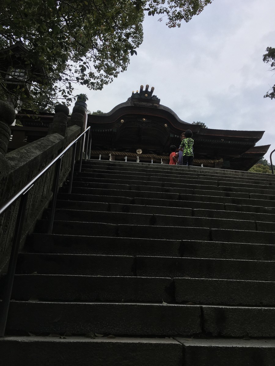 f:id:wakita-A:20200331145921j:plain
