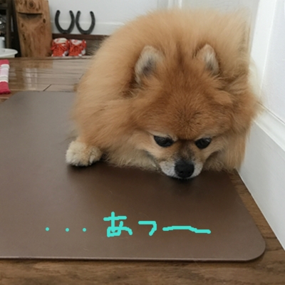 f:id:wakkacoco:20170714090940j:plain