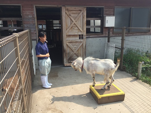 f:id:wakkky:20160802224105j:plain