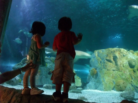 f:id:wakooji:20121020001556j:image f:id:wakooji:20121020001556j:image