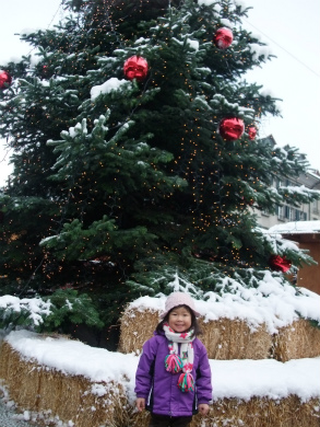 f:id:wakooji:20121209101750j:image