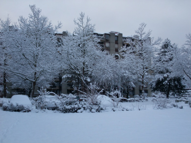 f:id:wakooji:20121209101754j:image