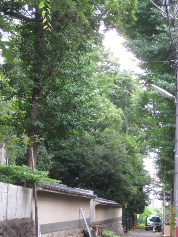 f:id:waku2:20180623095446j:image:w360:right