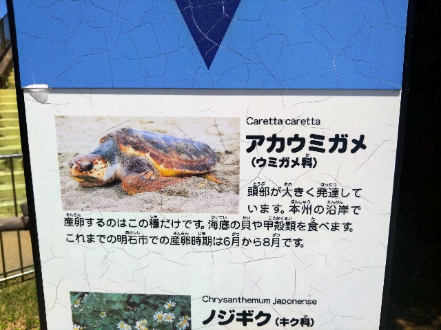 f:id:wakudokihappy:20230720044755j:image f:id:wakudokihappy:20230720044755j:image