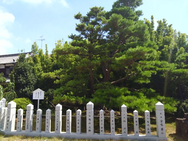 f:id:wakudokihappy:20230731200745j:image f:id:wakudokihappy:20230731200745j:image